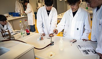 Schüler experimentieren im Rahmen eines Angebots des Lehr-Lern-Labors makeScience! Foto: Joel Frank/Pädagogische Hochschule Karlsruhe