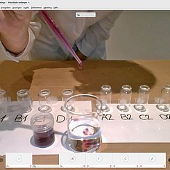 Digitales Lehr-Lern-Labor: Studierende experimentieren für Schülerinnen und Schüler per Videokonferenz. Foto: Pädagogische Hochschule Karlsruhe