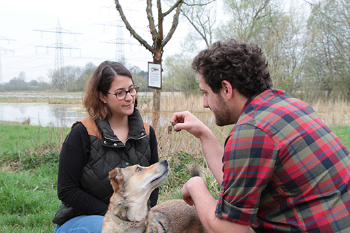 Kalikokrebs beim Spaziergang entdeckt. Foto: Pädagogische Hochschule Karlsruhe